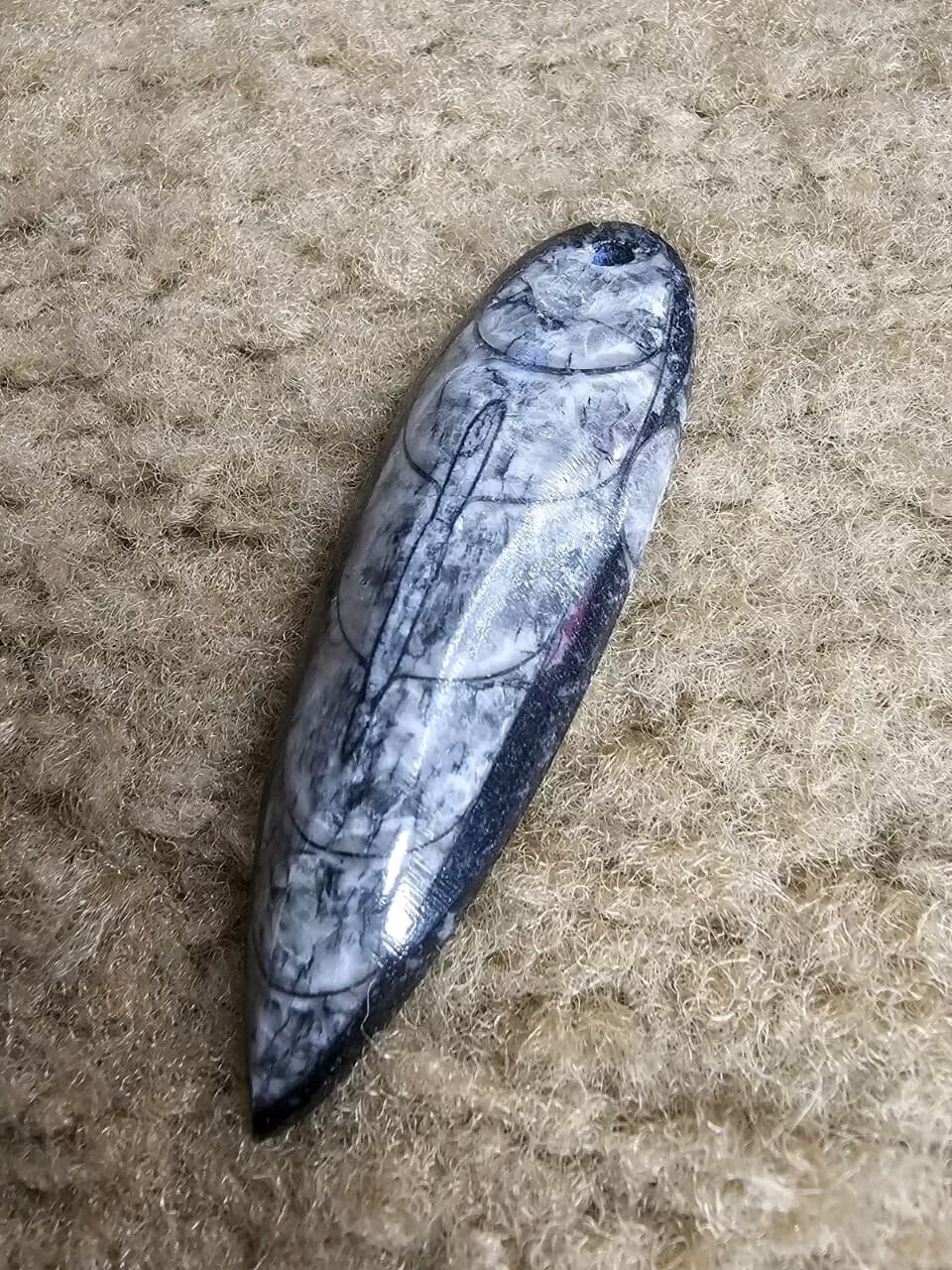 Orthoceras Focal Pendants, Polished Drilled Fossil, Nature Jewelry, Metaphysical 5