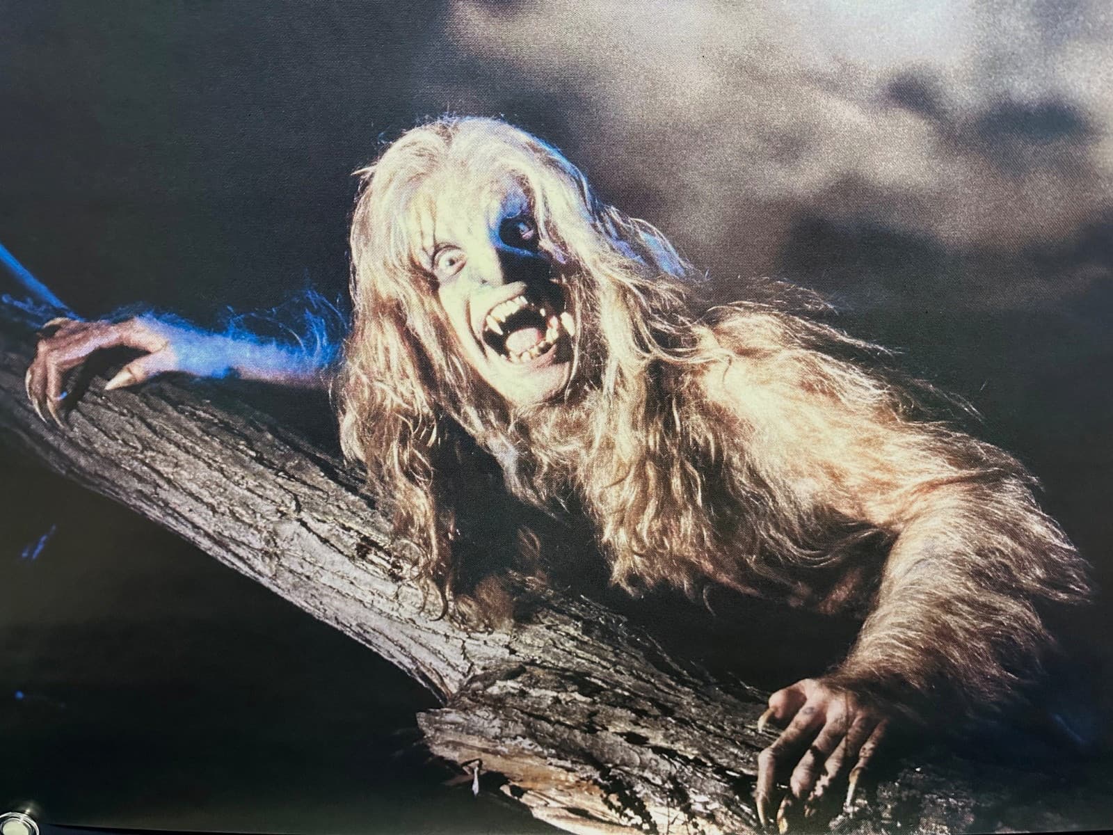 RARE!! 🔥OZZY OSBORNE "Bark At The Moon" RECORD STORE PROMO POSTER unused 36x36 6