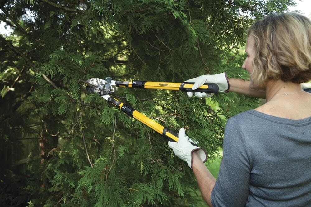 34" Ratcheting Anvil Steel Blade Lopper Telescopic Handles Branch Limb Cutter 4