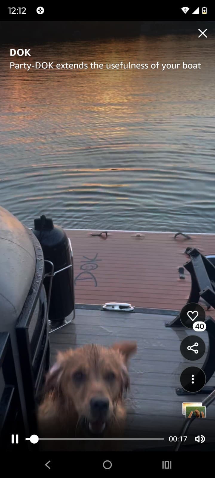 PARTY DOK!  INSANELY AWESOME INFLATABLE FLOATING DOCK. BRING THE DOG. PARTY TIME 6