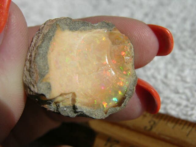 Opal Ethiopian chocolate specimen in matrix nut w/multicolor precious fire CF50 3