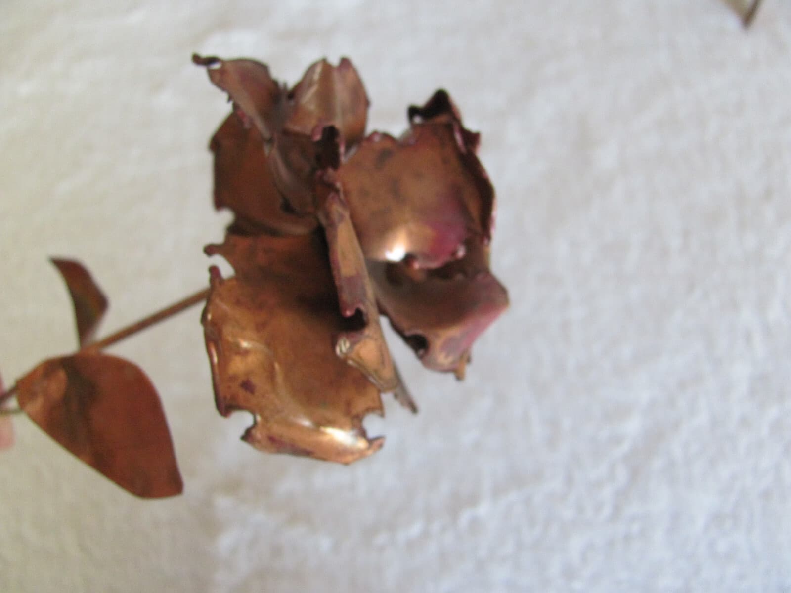 Long Stem Copper Rose(s) Up to 7 Available 3
