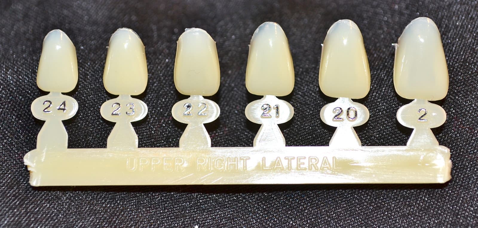 #7 Upper Right Lateral tooth - Dental Polycarbonate Temporary Crowns 6 sizes 