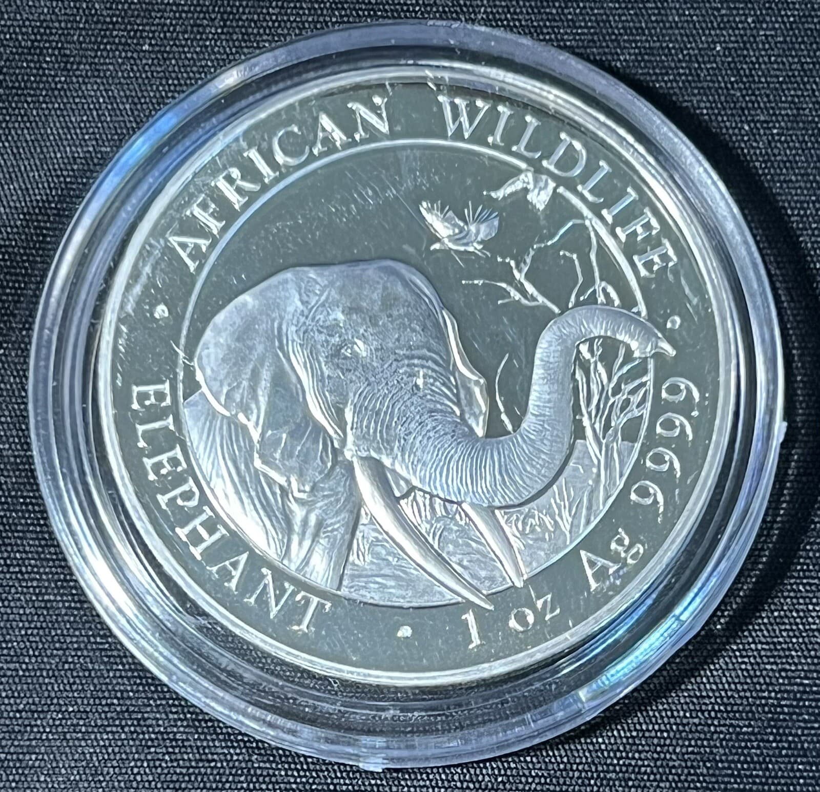 2018 1oz .9999 SILVER SOMALI REPUBLIC African Wildlife Elephant 100 Shillings 6