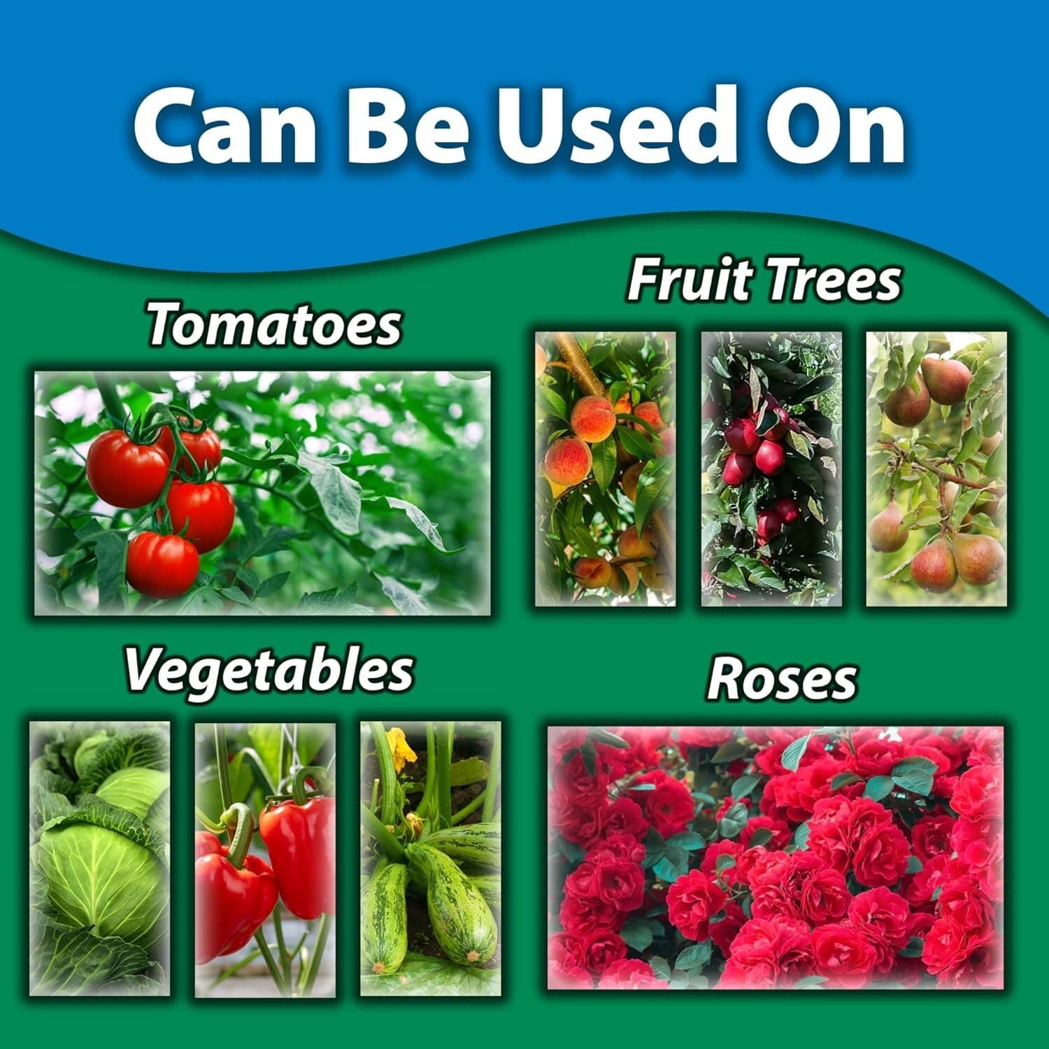 Monterey Neem Oil 70% Organic Fungicide, Insecticide, Miticide Concentrate 8 oz. 4