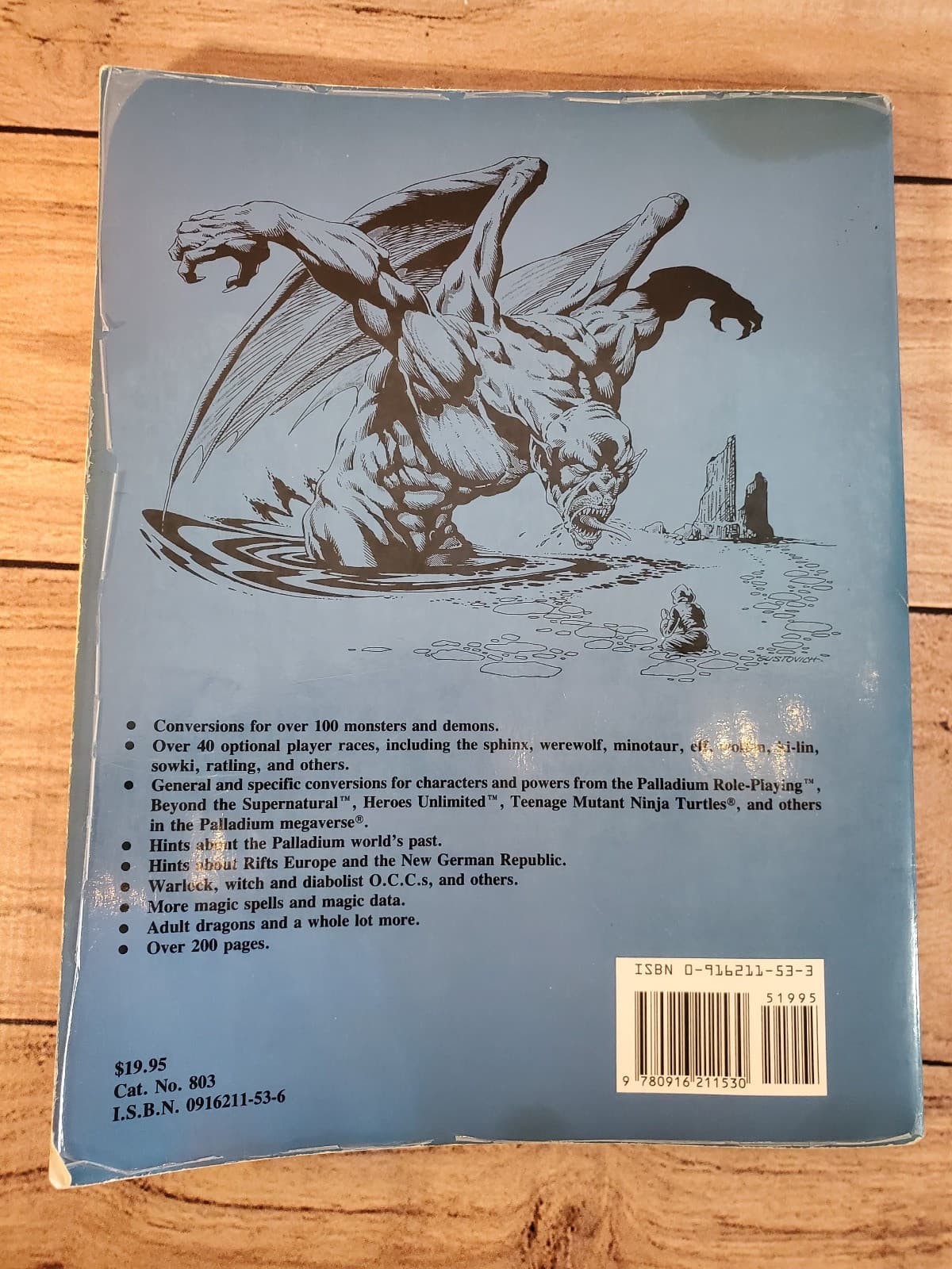 Rifts RPG Lot (2 Books) – Game Master Guide + Conversion Book – Palladium 6