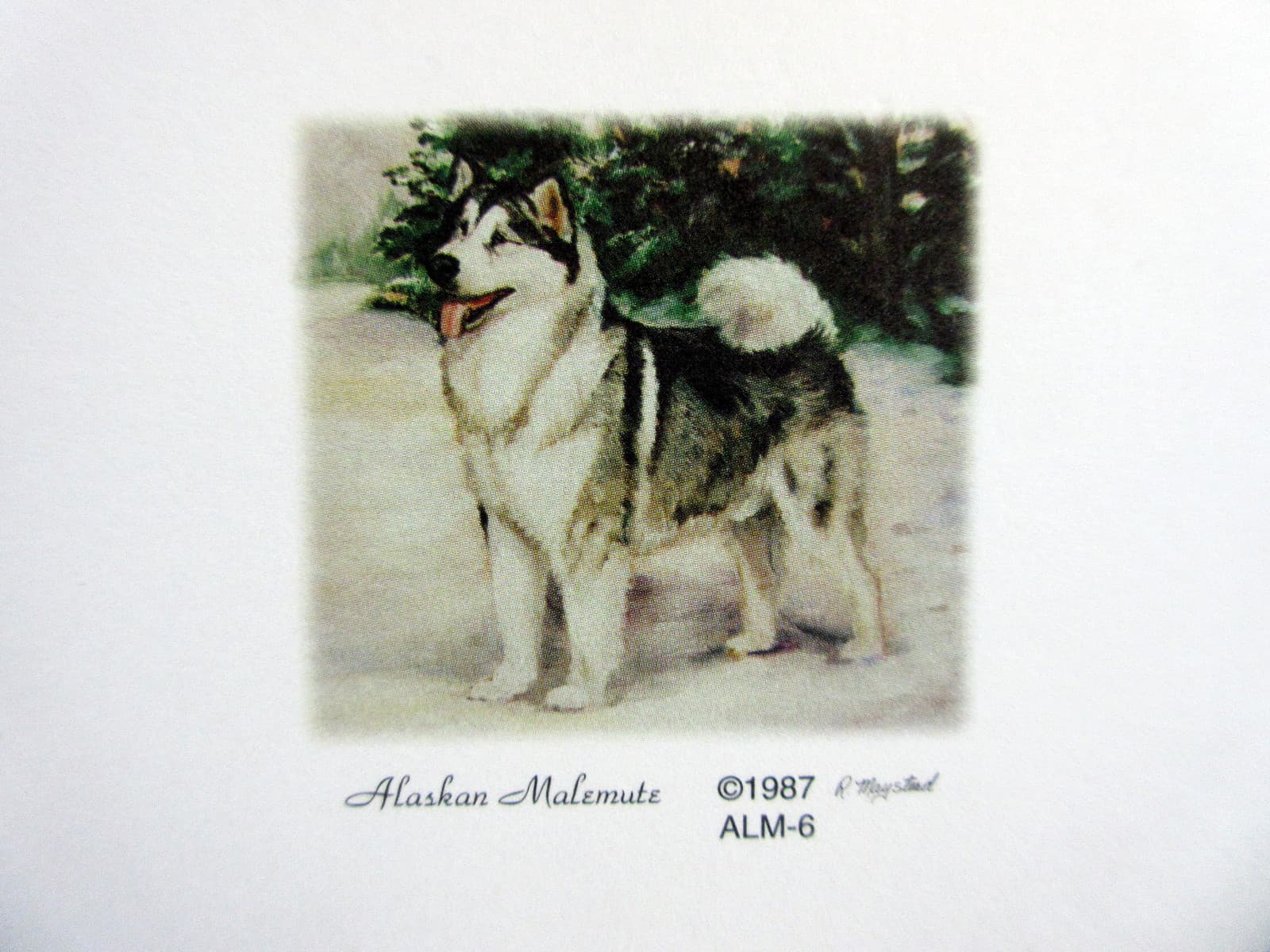 New Alaskan Malamute Magnetic Refrigerator List Pad Set of 2 Pads Ruth Maystead 2