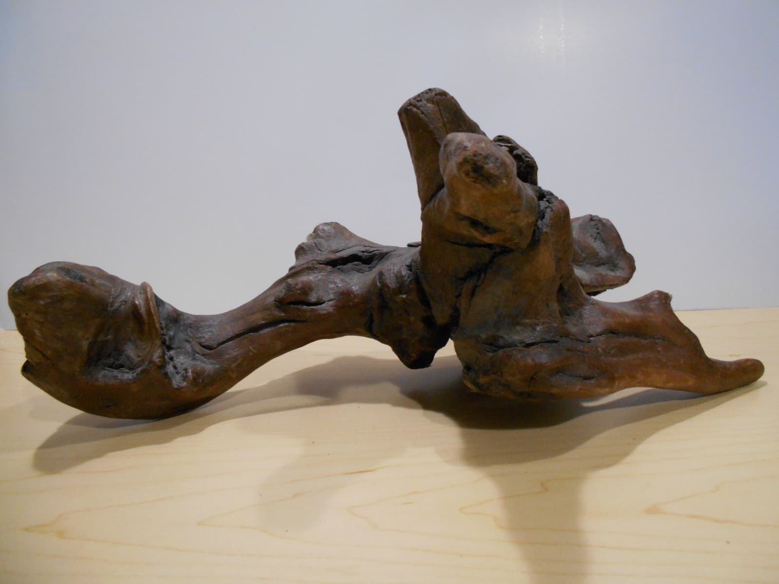 Driftwood Medium Aquarium Habitat Terrarium Orchid Mounting Planter Bonsai Wood 2