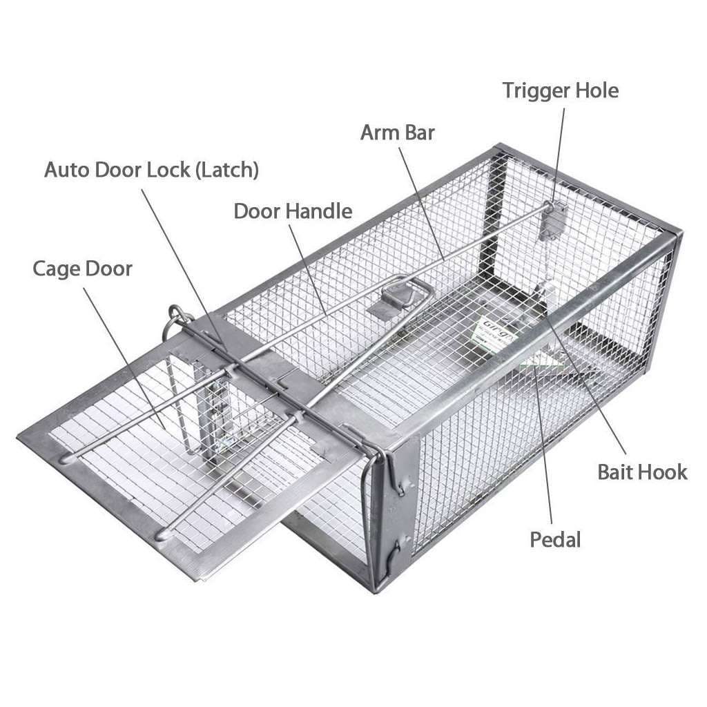 1-4X Live Humane Cage Trap For Squirrel Chipmunk Rat Mice Rodent Animal Catcher 3