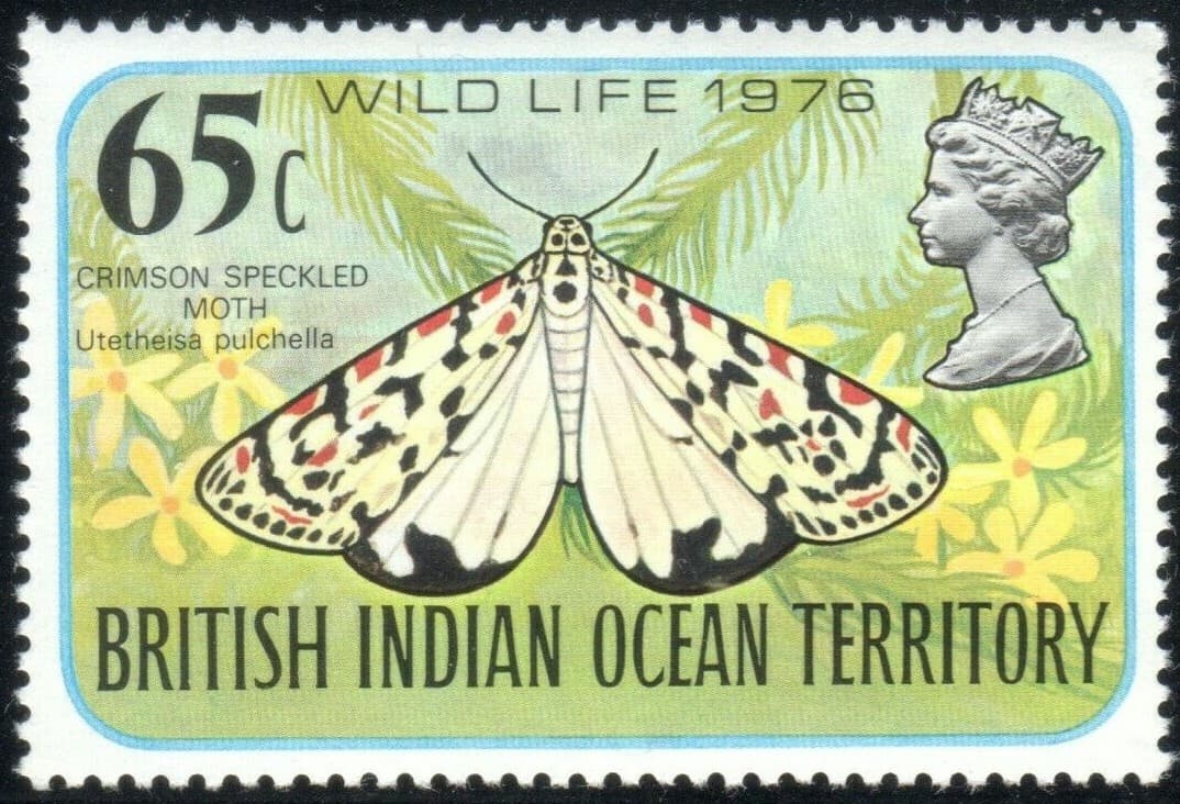 British Indian Ocean Territory Scott 86-89, SG 86-89 Wildlife VF MNH 1976 BIOT 2