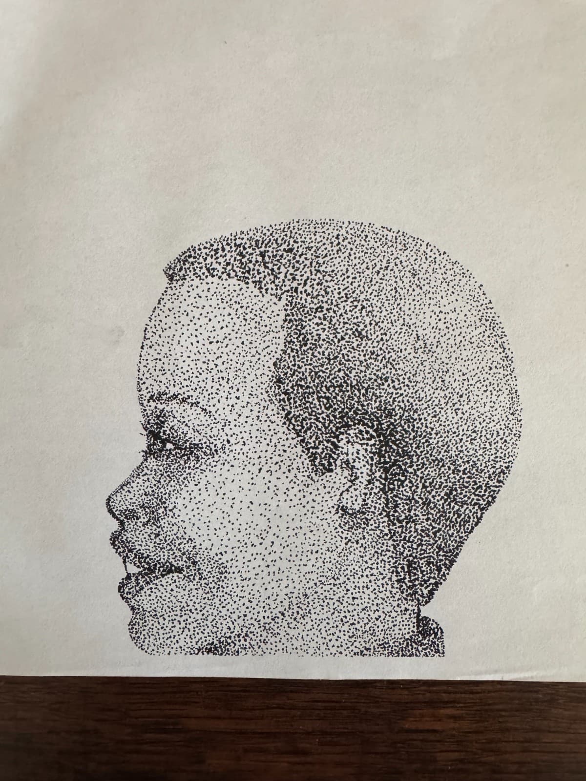 Original Pointillism Young African-American Woman Pen Portrait Drawing 8.5"x11" 2