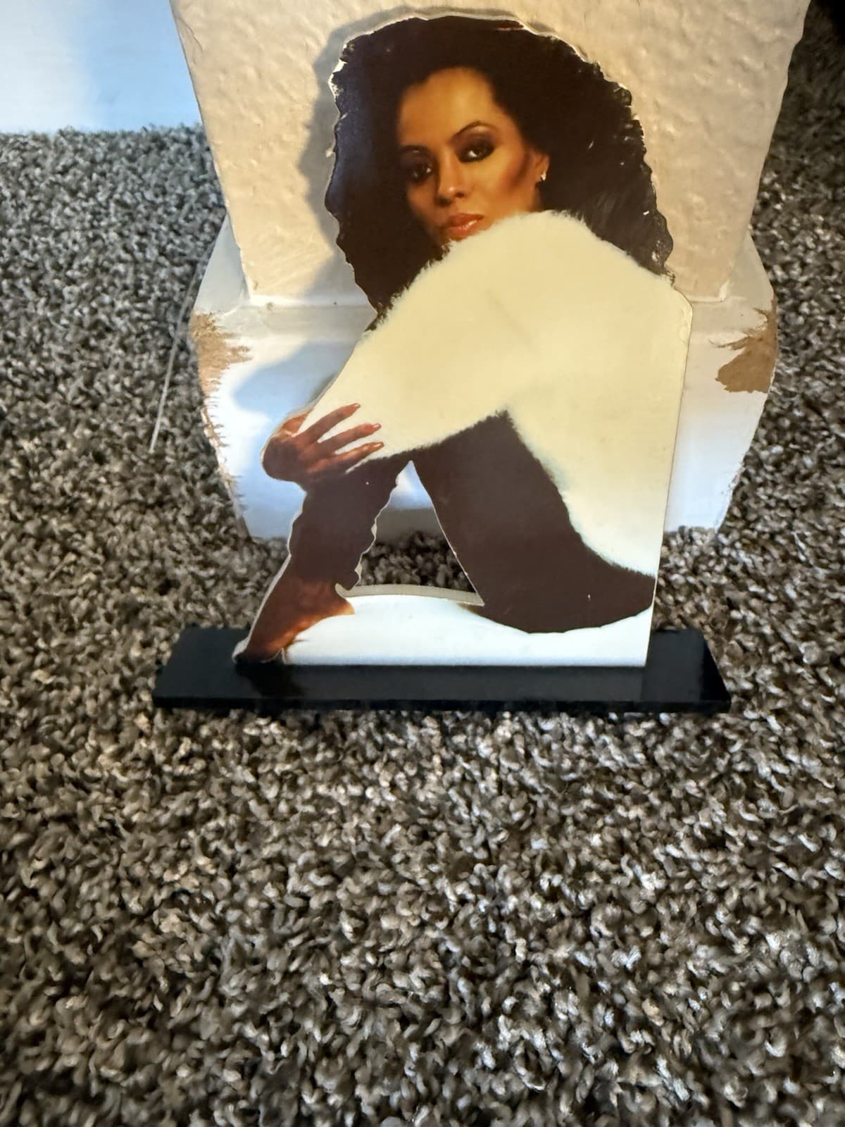 Diana Ross Book and Picture Decor 4