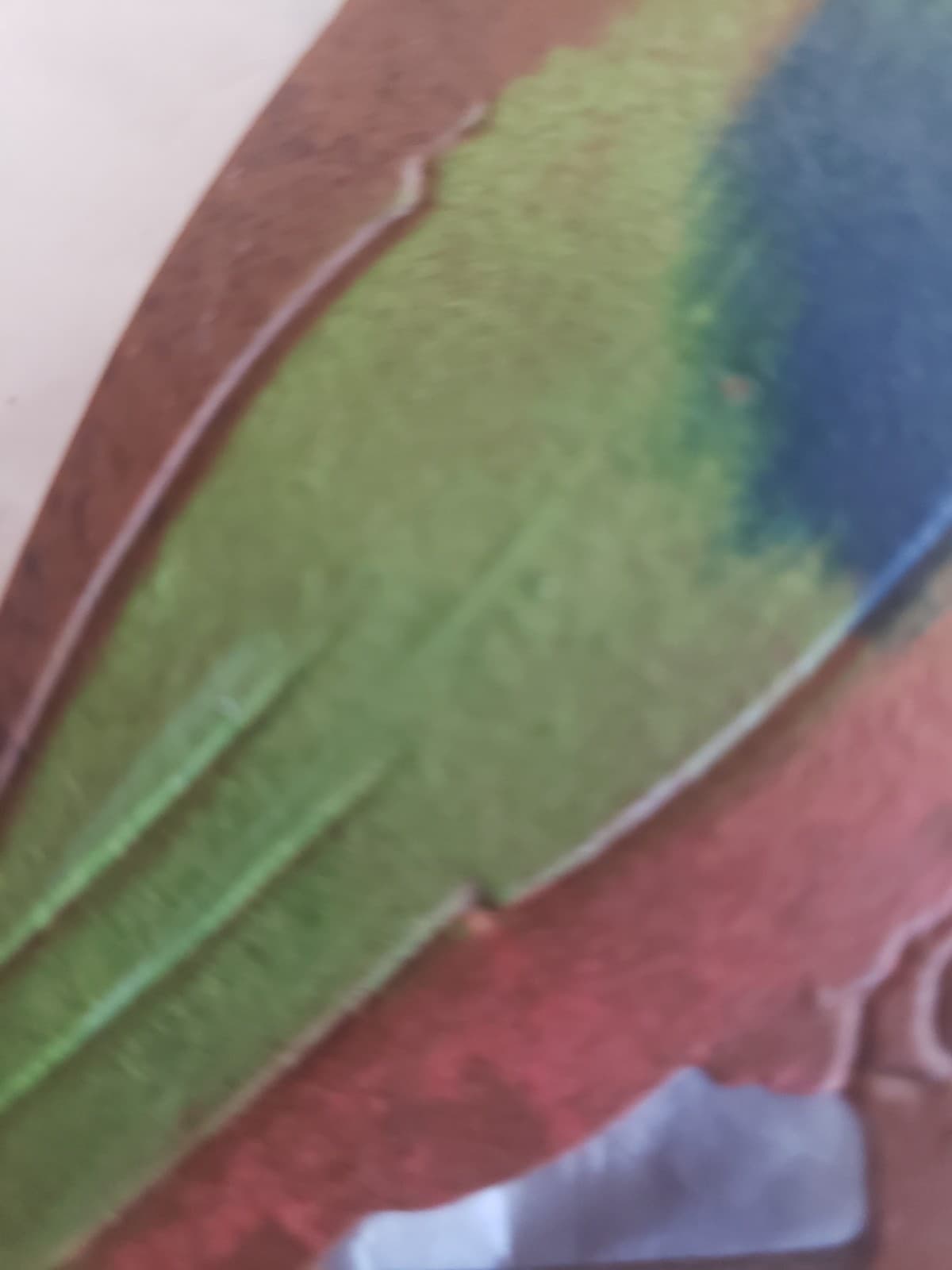 RARE SOLID CAST IRON FOUNDRY MARKED JUDD #928 PARROT ART DECO HANGING HOOK MINT! 4