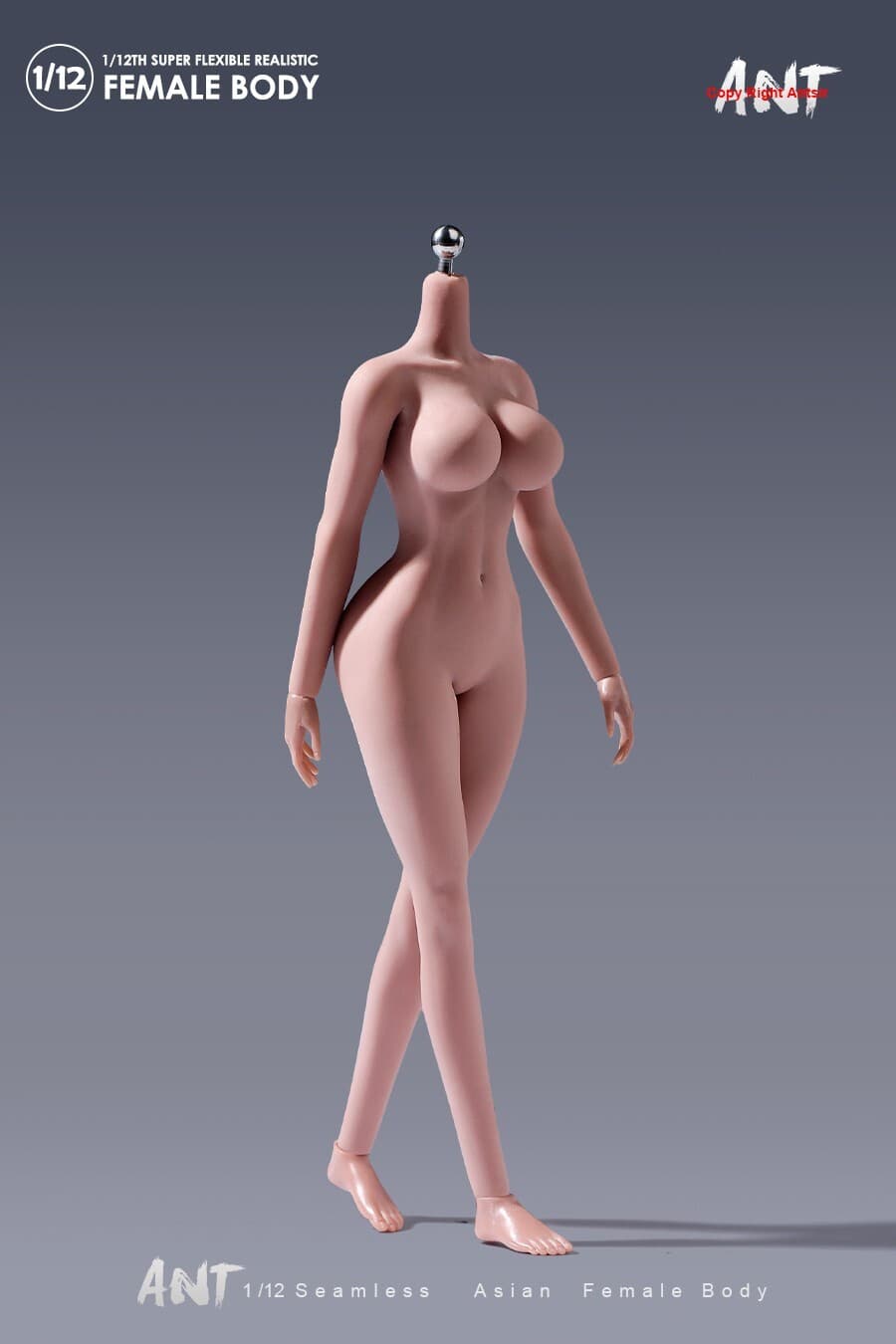 US ANT 1:12 Suntan Large Breast Plump Hip Seamless 6"Female Action Figure Body 2