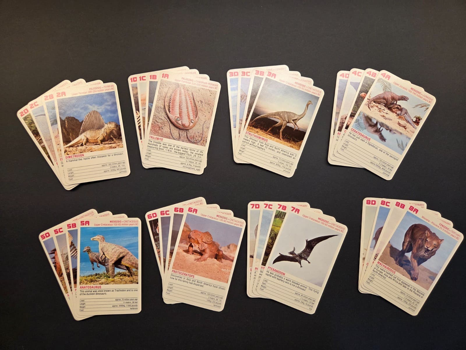 VINTAGE Dinosaurs And Prehistoric Animals Rummy Card Game - Complete 4