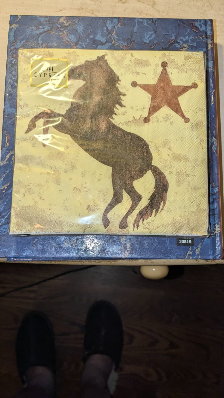 NEW-Up tp 3 Cypress Home "Saddle Up" Geoff Allen 20-Pack Paper Luncheon Napkins