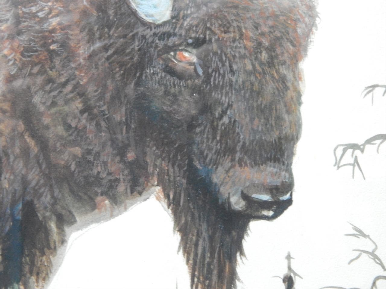 T. POOLEY ASA SIGNED BISON BUFFALO WESTERN INDIAN DSGN WATER COLOR PAINTING 4