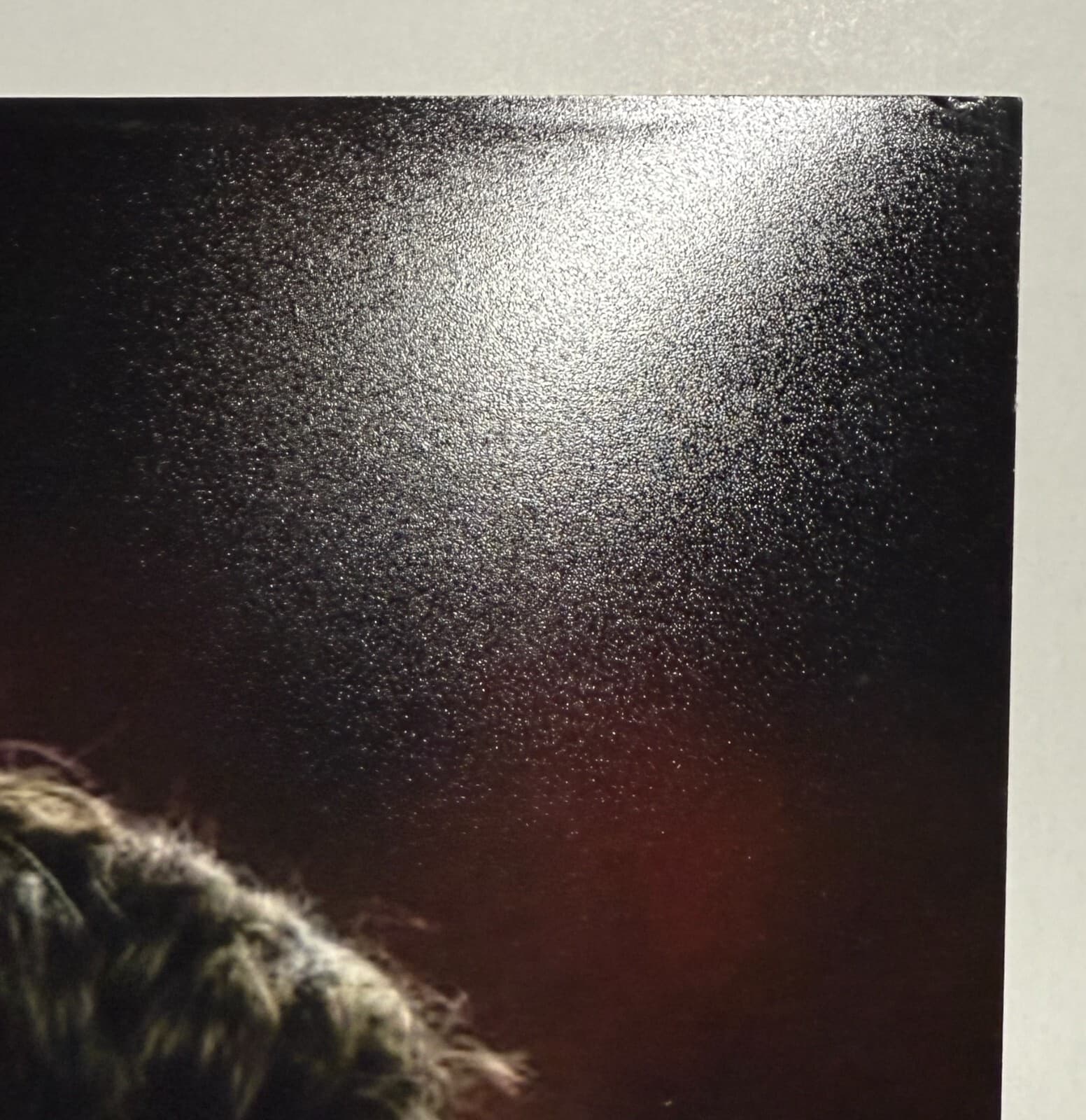 Barcelona Gavi, Pedri and Lewandowski 11x14 Signed Photo Beckett BAS Witnessed 3