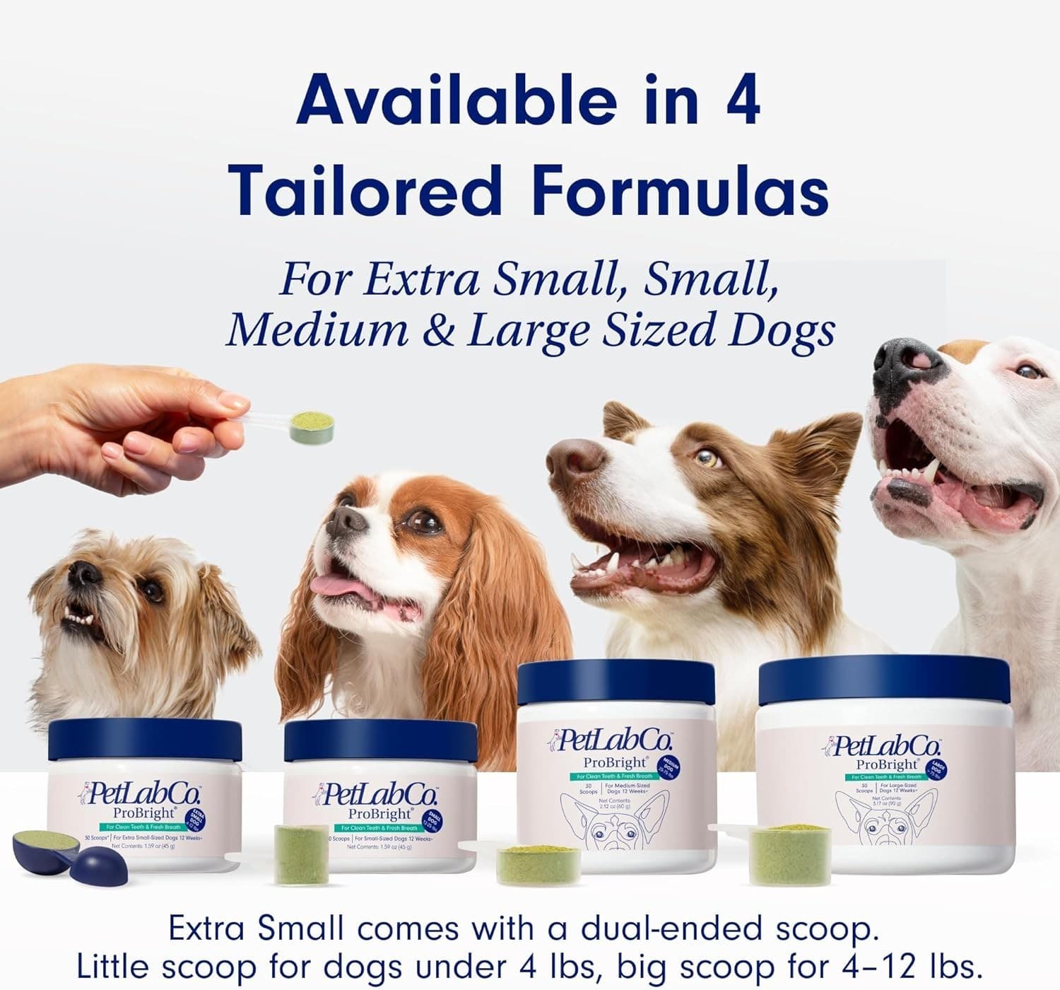 PetLab Co. ProBright Dental Powder - Dog Breath Freshener - Teeth Cleaning Ma 5