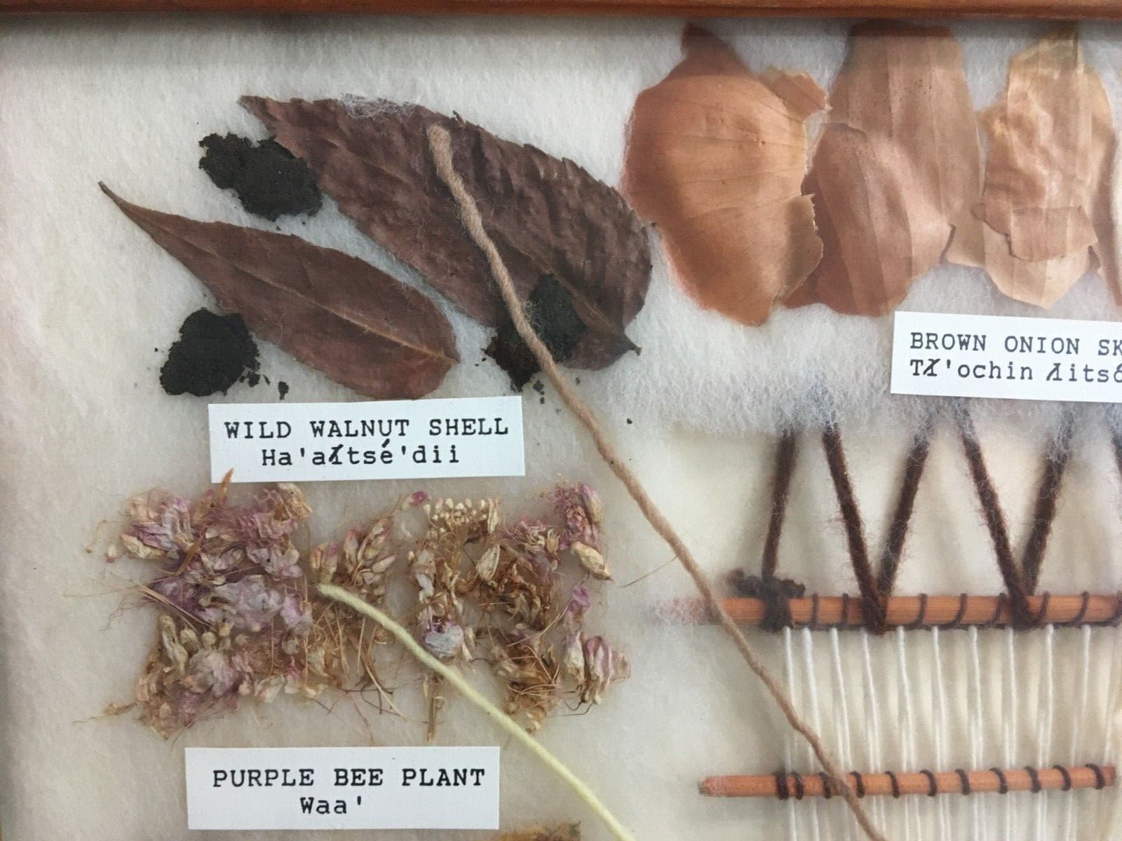 Navajo Traditional 10 Color Dye Chart English & Indian Names by Sharon Manuelito 6