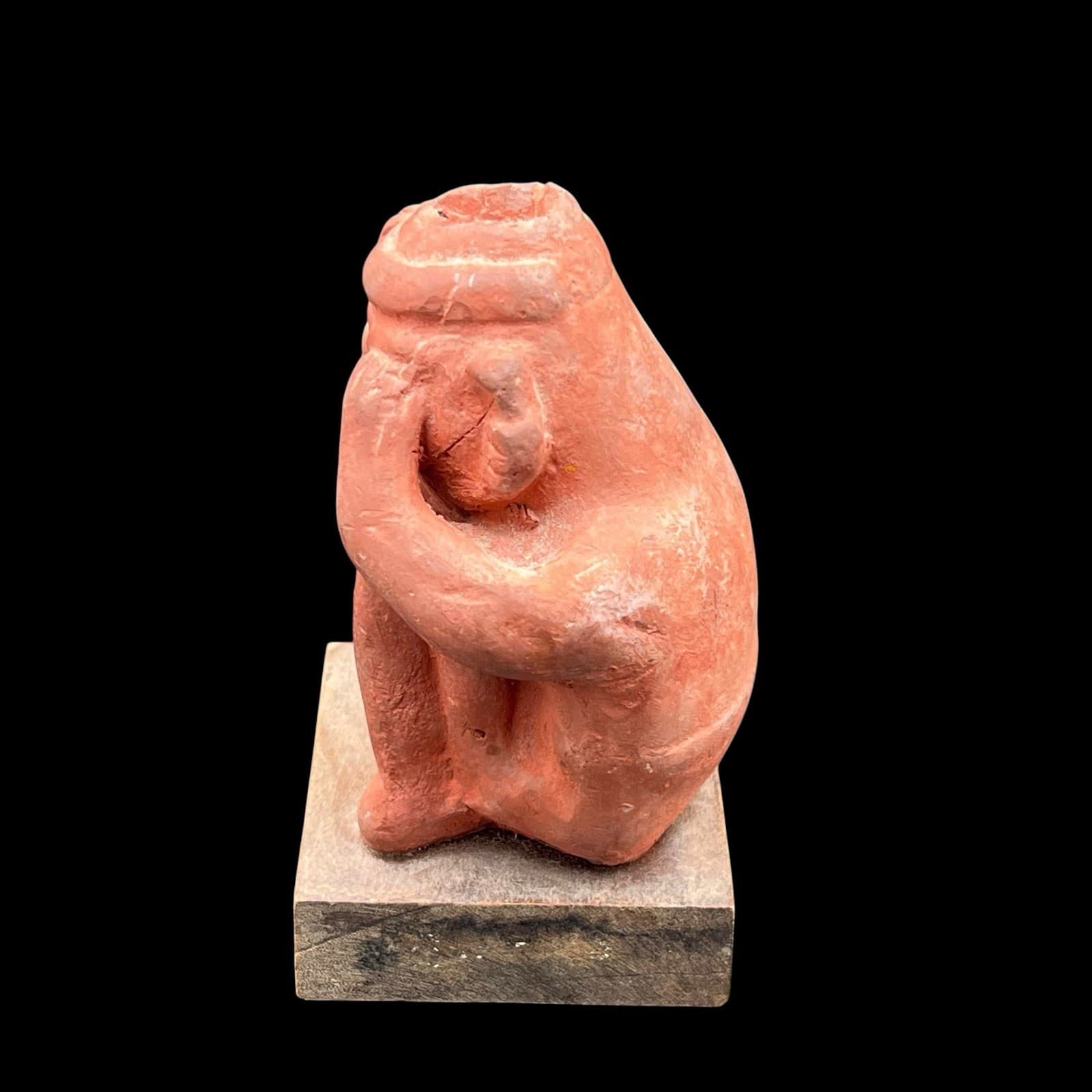 Schering Etrafon "Portrait of Anxiety / Depression" NAYARIT  Pharm Ad  sitting 5