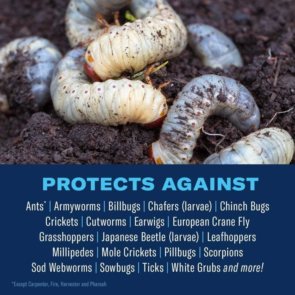 BioAdvanced 24 Hour Grub Killer Plus Granules – Powerful Lawn Insect Control for 2