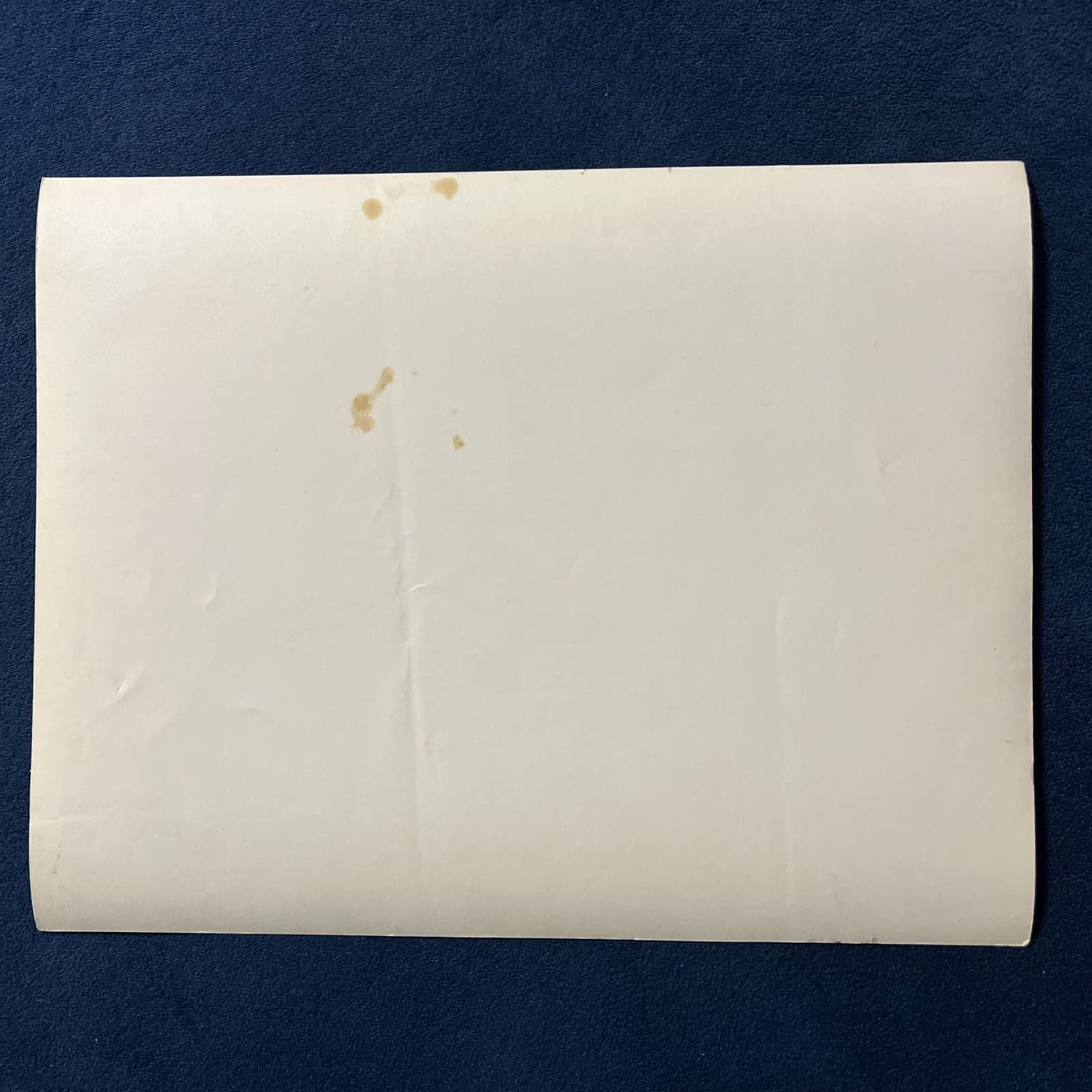  House of Strangers 1949 20th Fox 8x10 Orig Still Edward G Robinson Conte 6