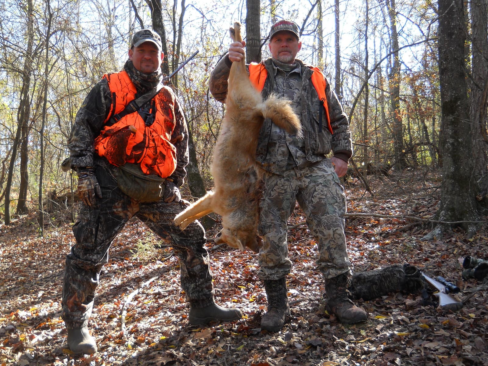 Coyote Urine For Hunting and Trapping Lure 5