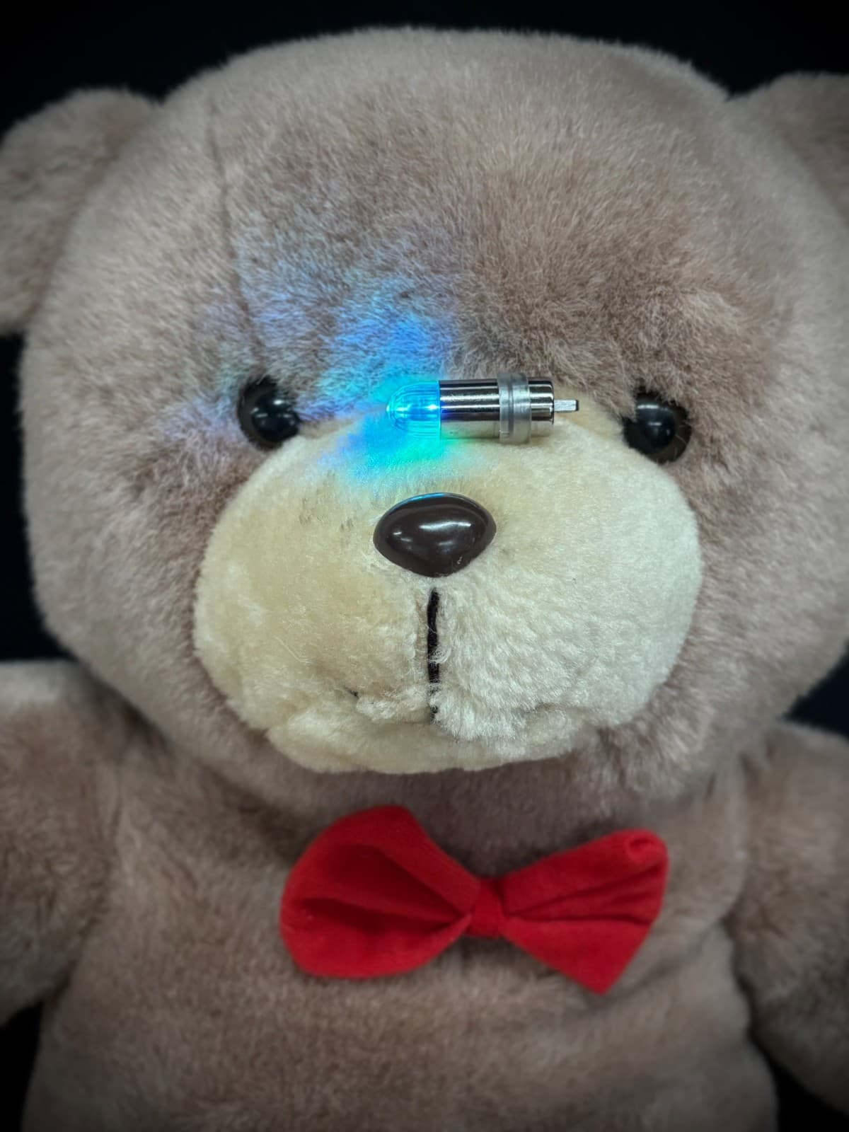 Haunted Large Vintage Bear 20" - Boy, PAUL, Age 10 ~ACTIVE~ Likes Toy Trucks 4