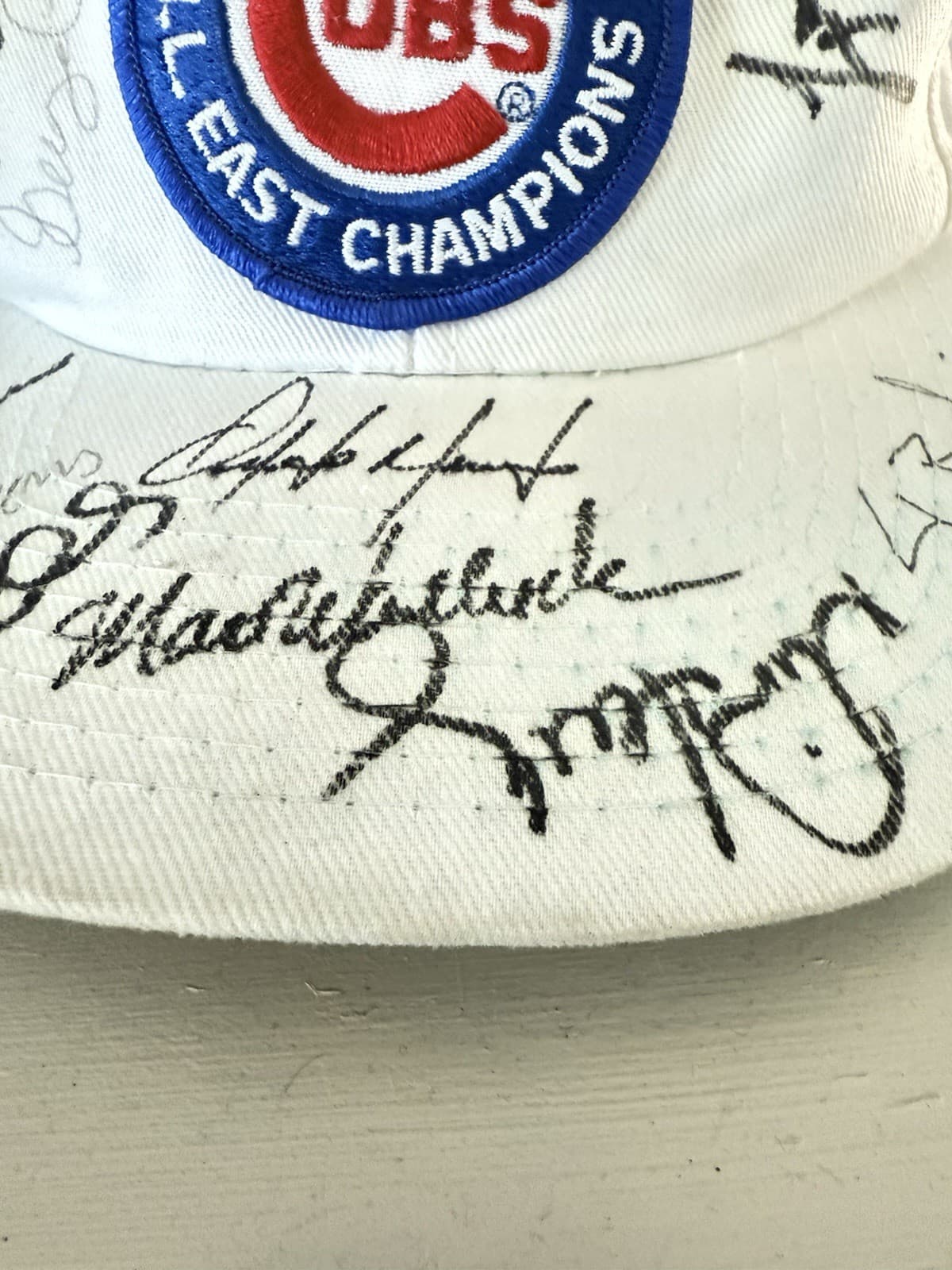 Vintage White Chicago Cubs 10 Players Autographed Cap 1989 N.L. East Champions 3