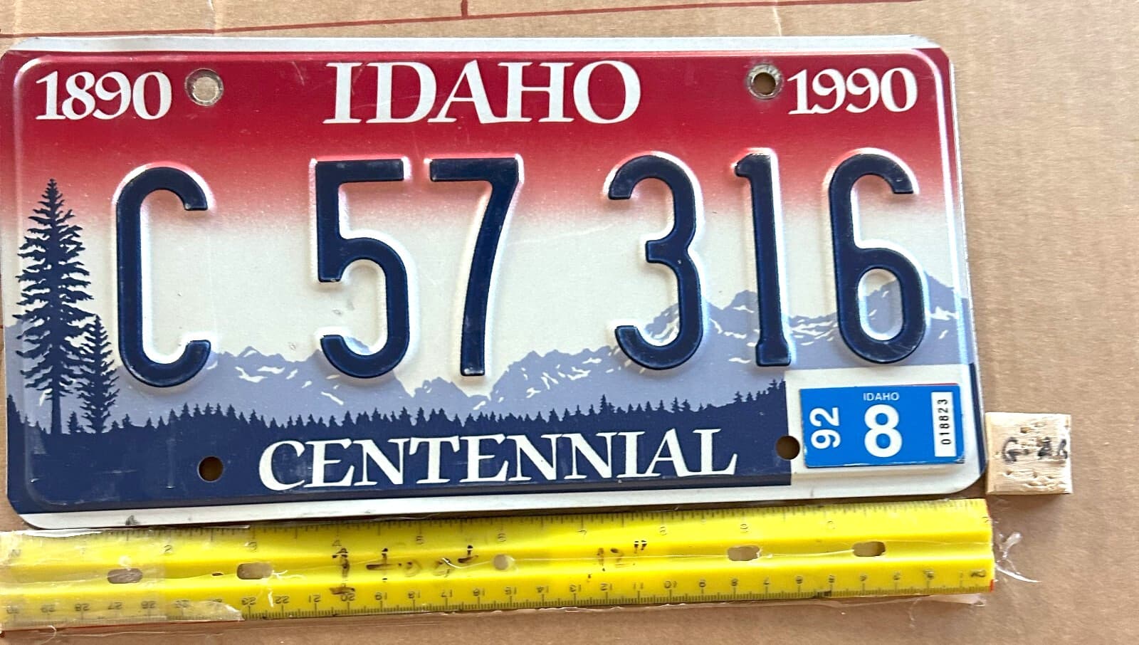 *License Plate, Idaho, 1990, Centennial, C 57 316