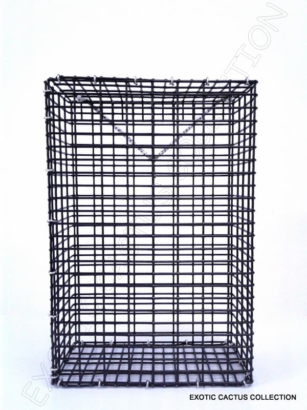 CHUM BOX marine grade pvc coating black wire mesh pot fishing bait cage 12x8x4 2