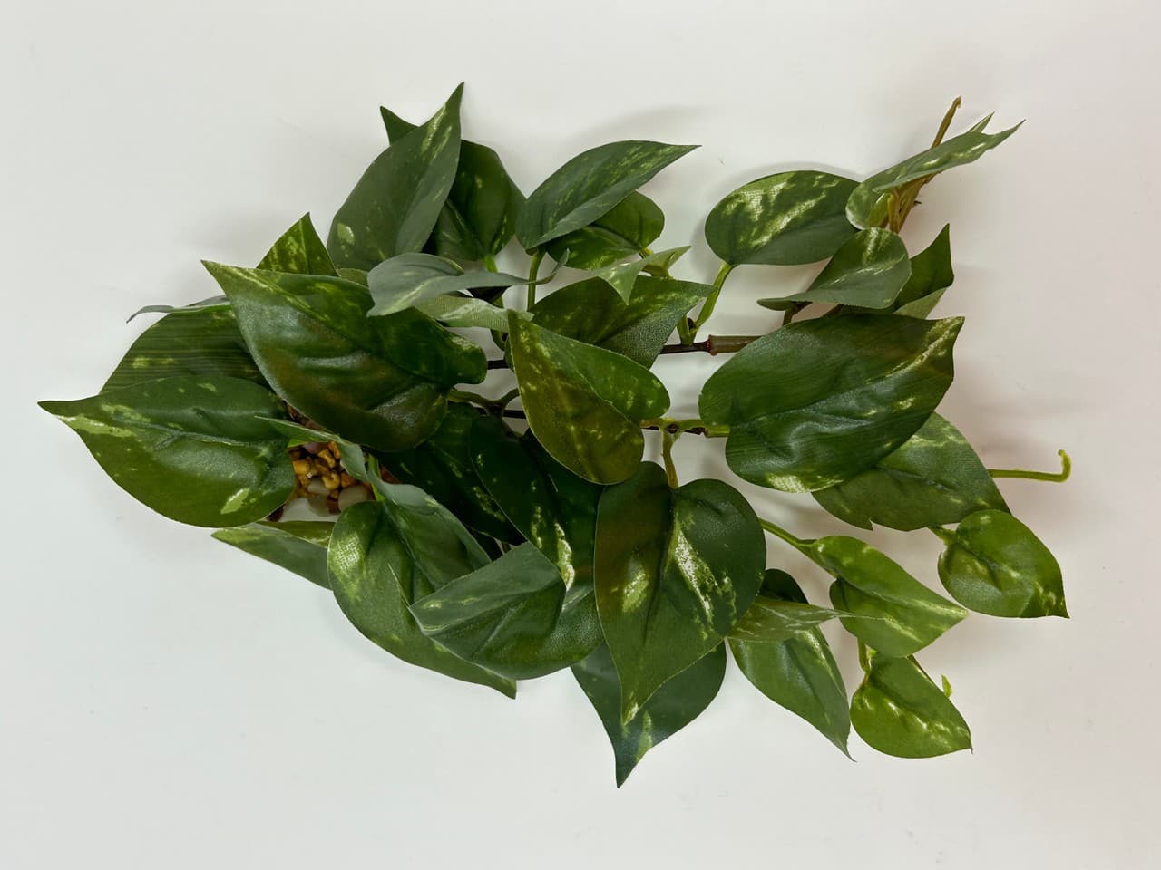 8" LONG, LOW Green/White POTHOS Bush, soft silk aquarium plant, stone base, Gold 4