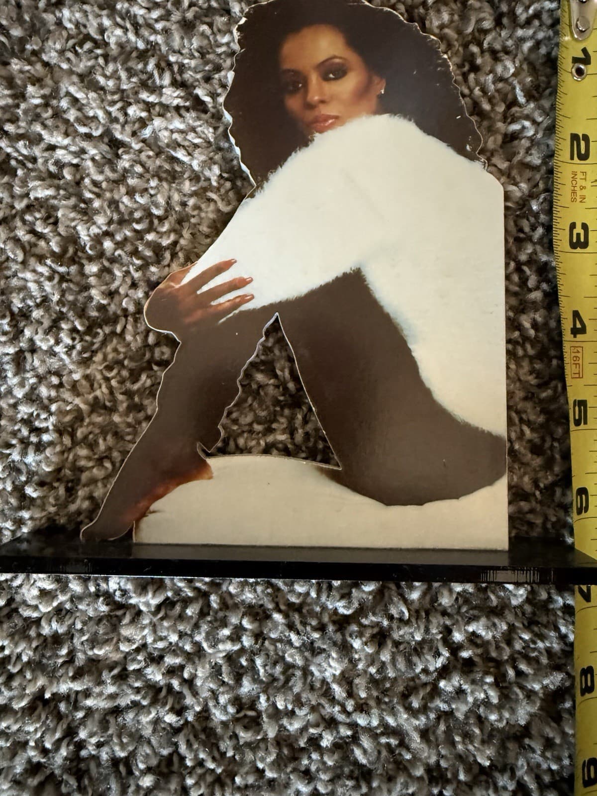 Diana Ross Book and Picture Decor 3