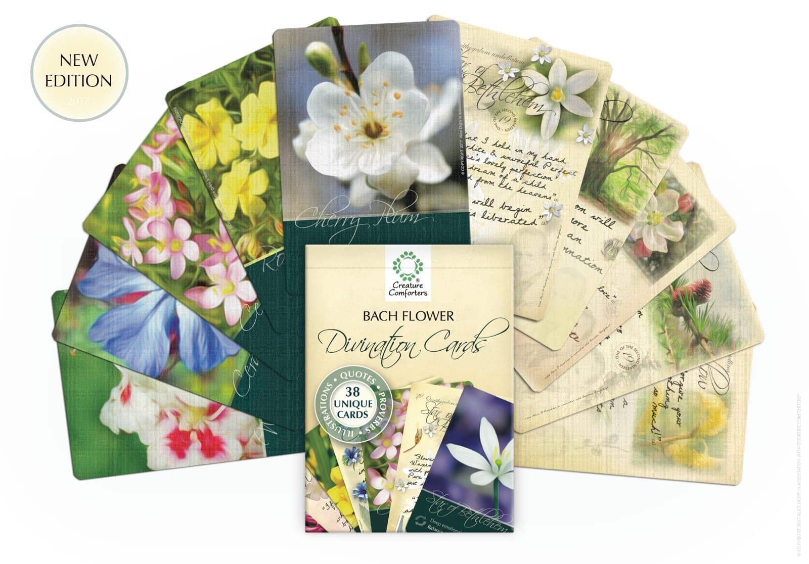 Bach Flower Divination Cards Pack 38 Beautiful illustrations, proverbs, quotes