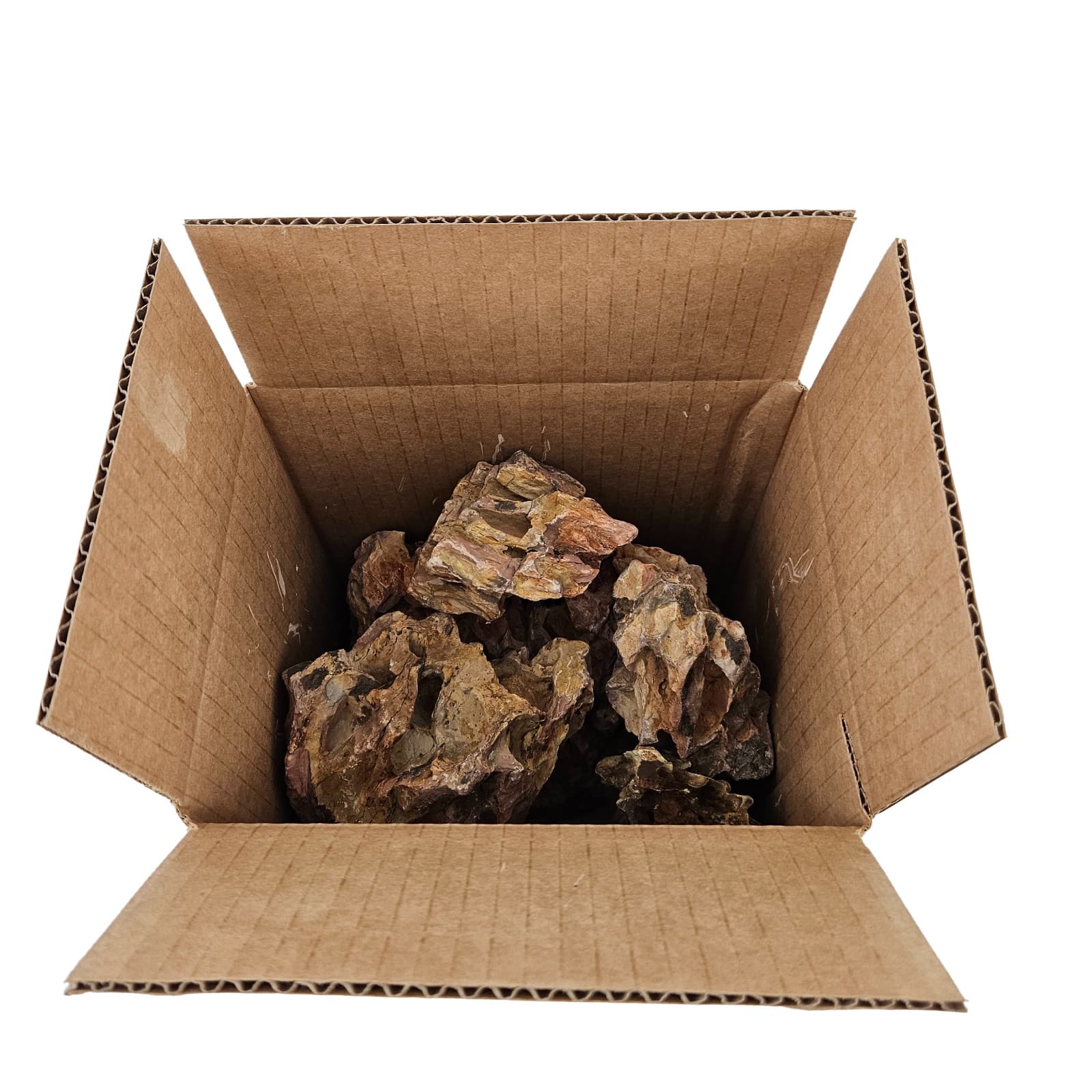 Dragon Stone (Ohko Stone) / Planted Aquarium / Decoration / Hardscape 10 Lbs Box 6