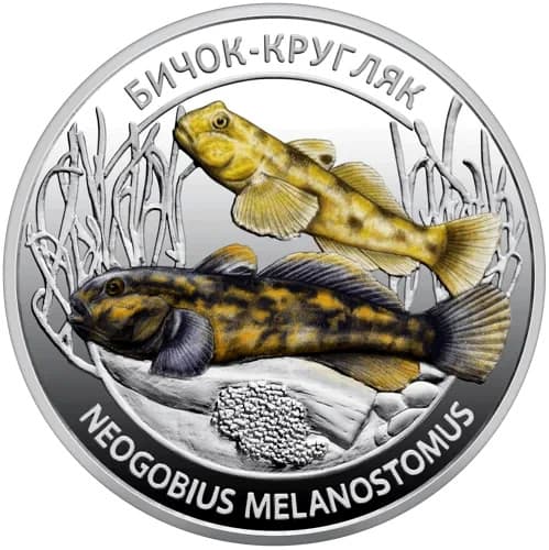 Set of two commemorative coins“Inhabitants of the Deep Sea”in souvenir packaging 4