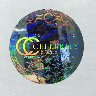 Nancy Pelosi (Smile) Celebrity Mask, Flat Card Face 3