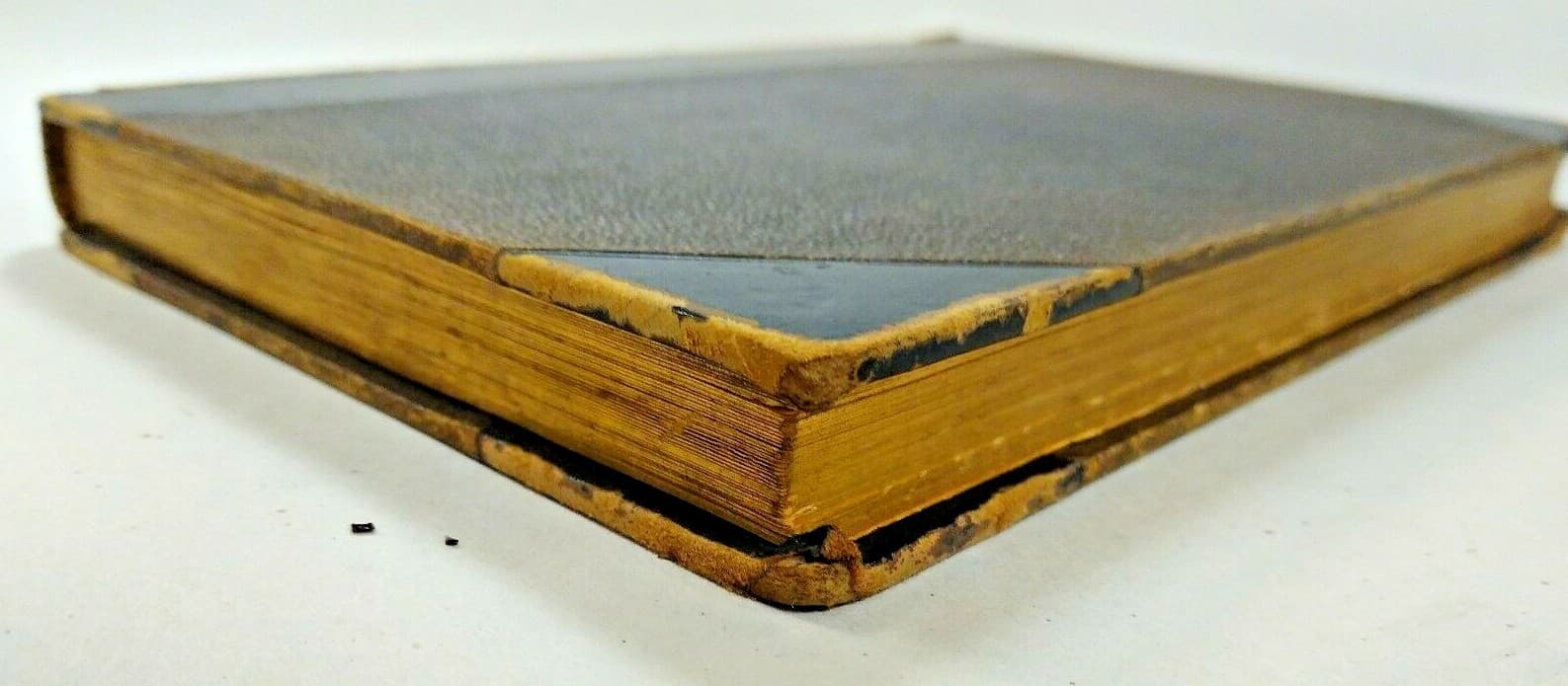 Memoir of Miss Shepherd of Cheadle ~RARE 1876 1st Ed~Important Anti-Slavery Work 5