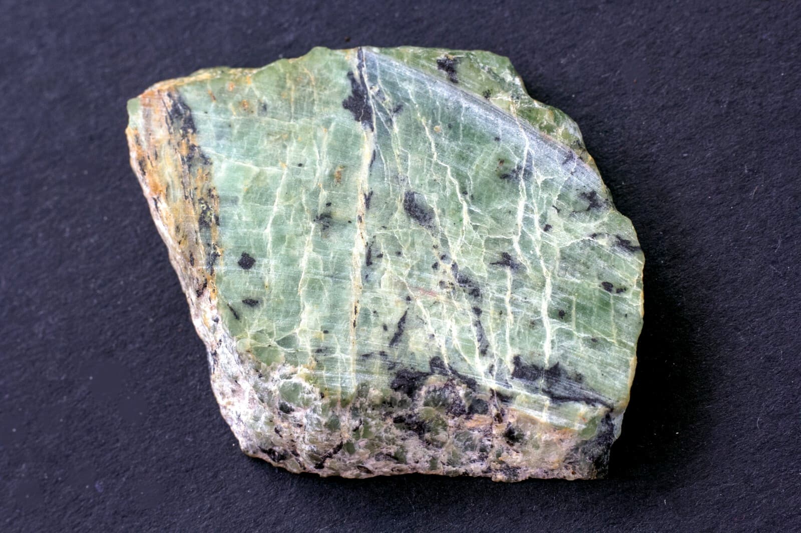 Antigorite (var.) Williamsite: Lowe's Chrome Pit Cecil Co., Maryland (cut slab) 2