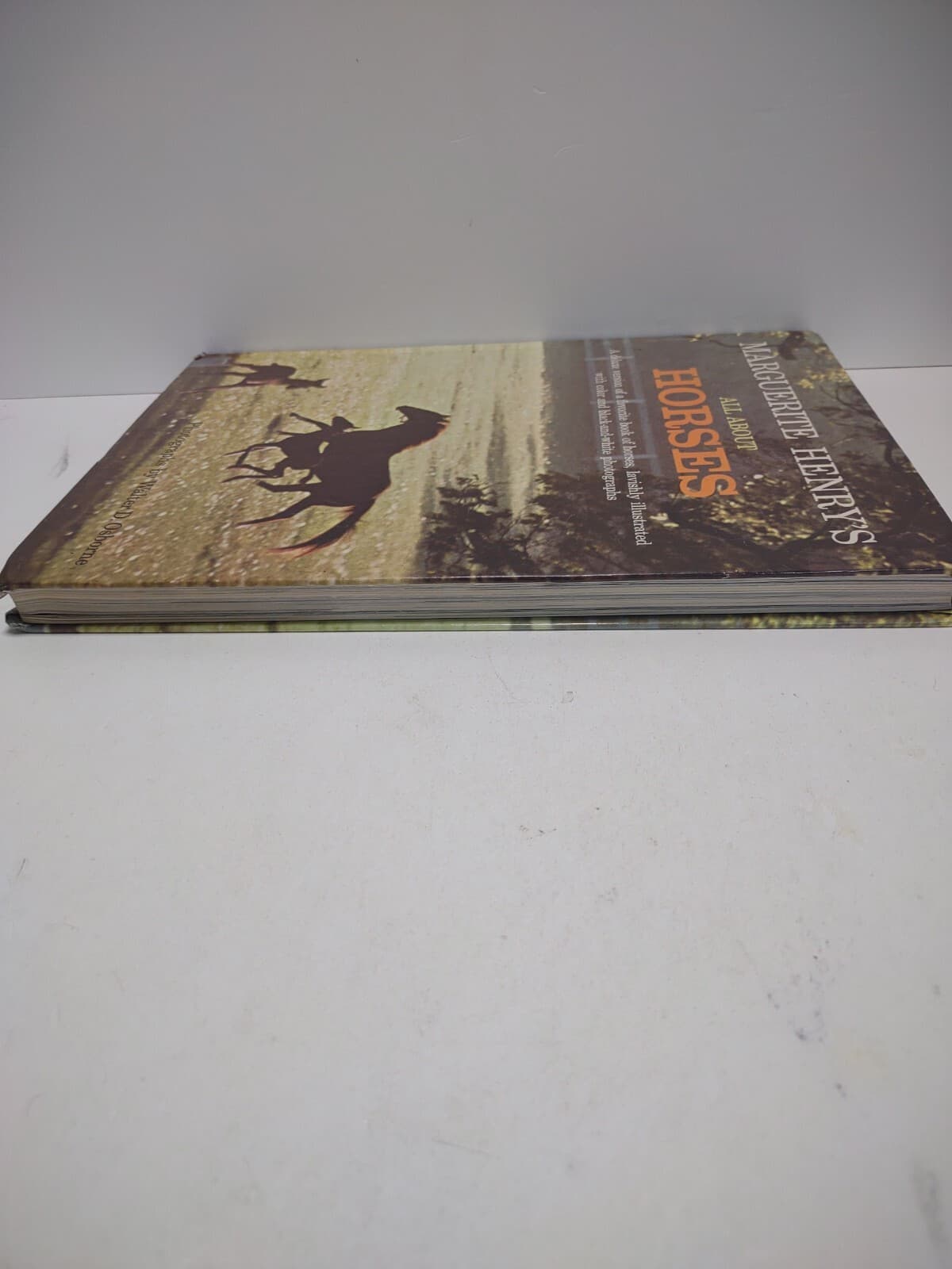 All About Horses Marguerite Henry HC Book 1967 Breeds Riding Warm Cold Bloods  6