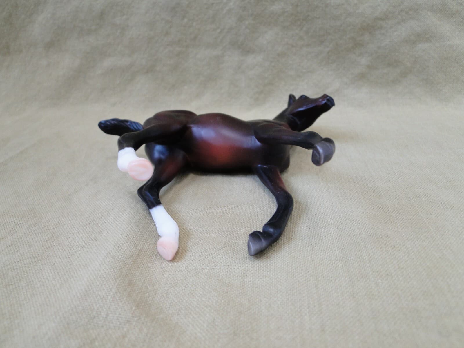 Breyer Classic: Vet Care Morgan Foal #61039 5
