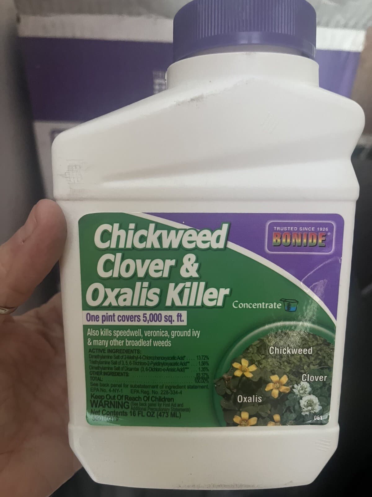 Bonide 061 Concentrate Chickweed Clover & Oxalis Weed Killer Pint covers 5000sft
