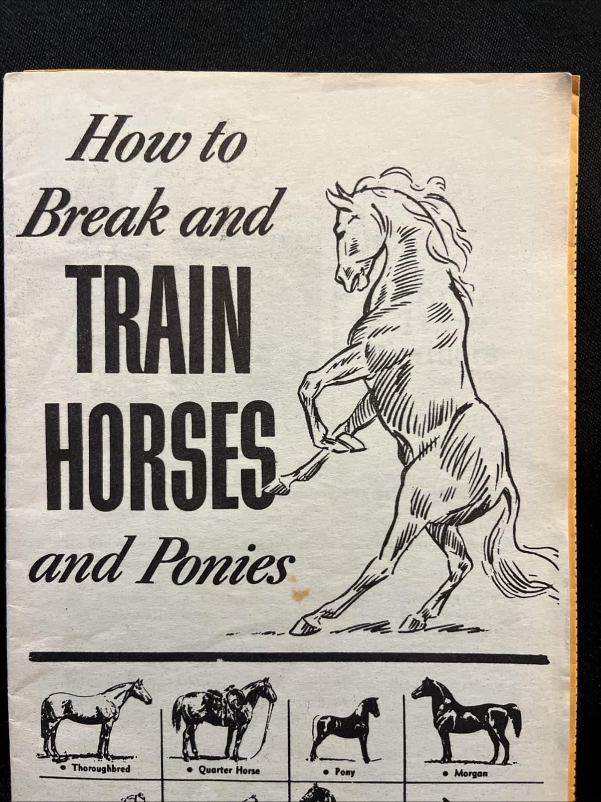 VTG 1930 How to Break and Train Horses & Ponies Booklet + Extra Prof Jesse Berry 3