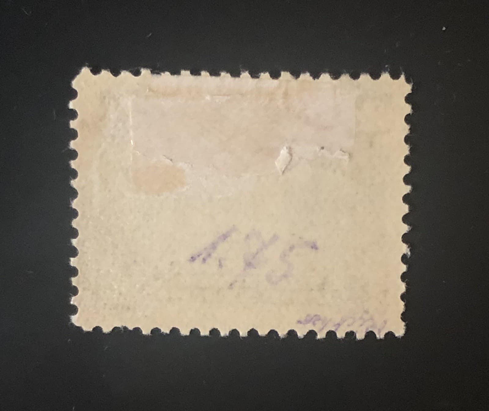 Stamps Canada Newfoundland Sc71  24c grey Salmon Fishing 1897  see details 6