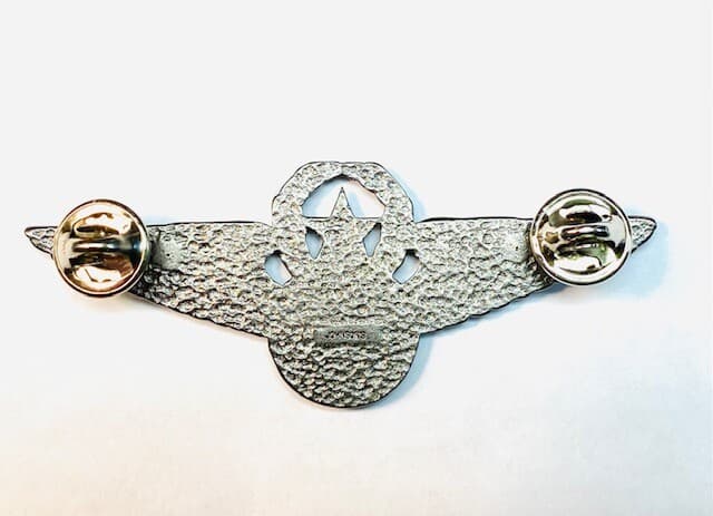 Compass Airline Flight Attendant Instructor Wing 4