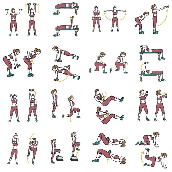 Dumbbell Set 44 LB Adjustable Weight Set for Men & Women Body Building Training 6