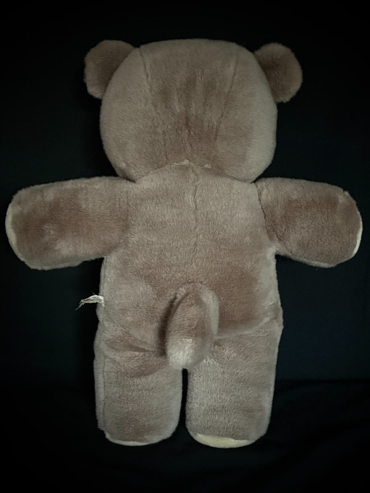 Haunted Large Vintage Bear 20" - Boy, PAUL, Age 10 ~ACTIVE~ Likes Toy Trucks 6