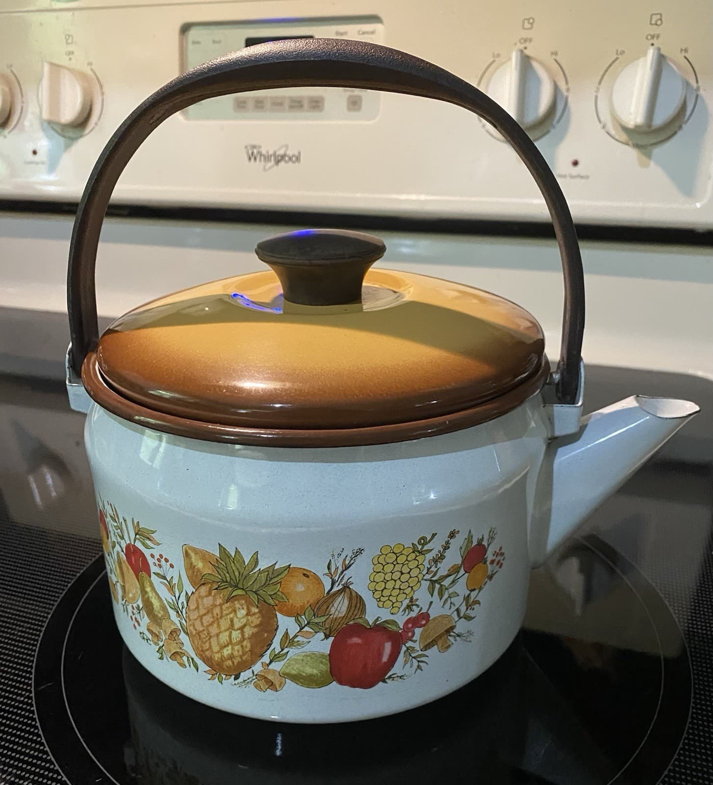 1970’s Vintage Enamel Tea Kettle w/ Lid & Fruits & Mushrooms Pattern By Sears 3