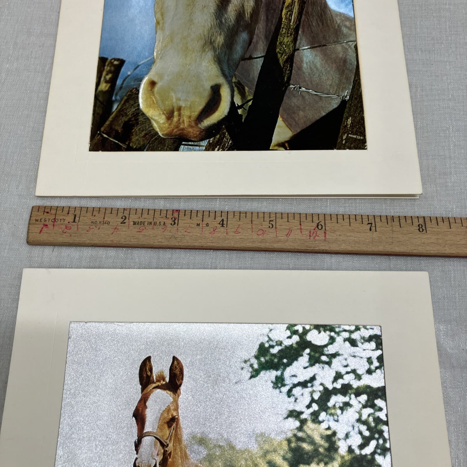 2 Vintage Dufex Foil Prints Horse & Foal 10”x8” Vintage Ponies 5